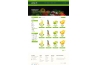 39€ le moins cher et meilleur ! Prestashop Theme Bio naturel vrac alimentation fruits legumes epicerie huile sante vegetal