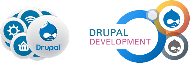 expert drupal